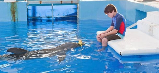 L'incredibile storia di Winter il delfino 2, trailer italiano: dal 25 settembre al cinema
