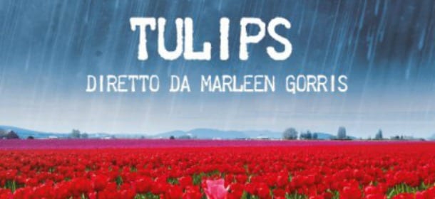 Tulips: Marleen Gorris sta male. Stop alle riprese per Giorgio Pasotti e Donatella Finocchiaro