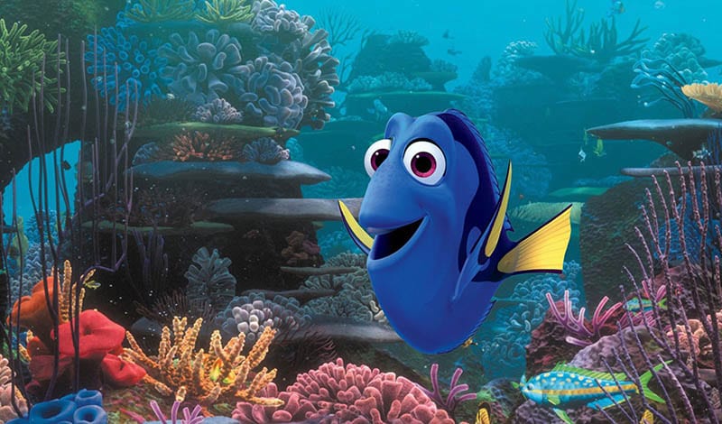 Dory