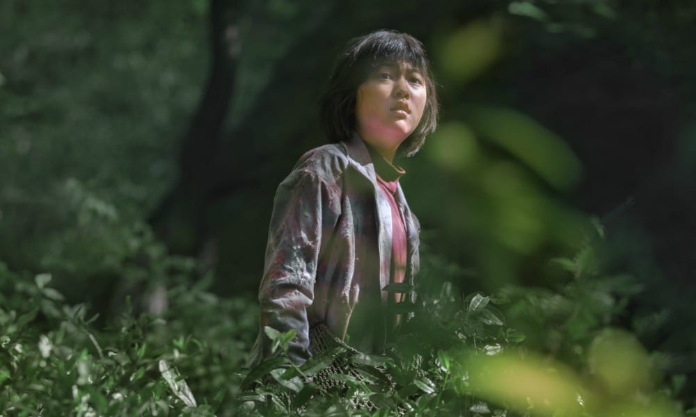 Okja: le prime immagini del nuovo film prodotto da Netflix