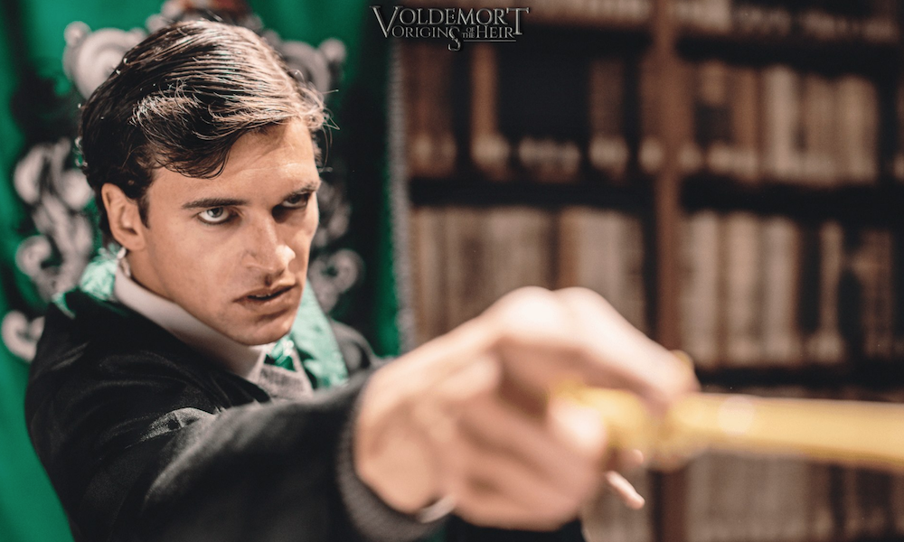 Voldemort Origins of the Heir