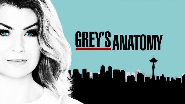 Grey's Anatomy 14: Arizona e April escono di scena