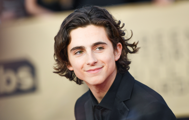 Timothée Chalamet interpreta un tossicodipendente in "Beautiful Boy" [FOTO]