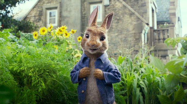 Da Una festa esagerata a Peter Rabbit: le uscite in sala di giovedì 22 marzo