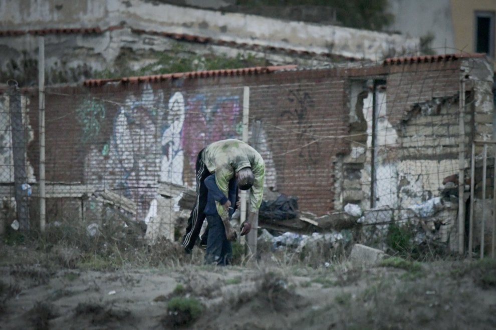 La vera storia dietro Dogman di Matteo Garrone [VIDEO]