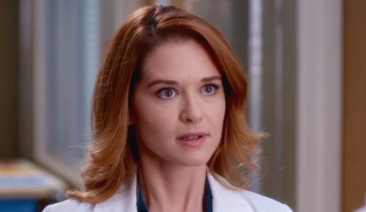 Grey's Anatomy 15: Sarah Drew torna in un cameo? Le sue dichiarazioni