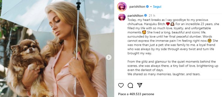 Addio al cane di Paris Hilton