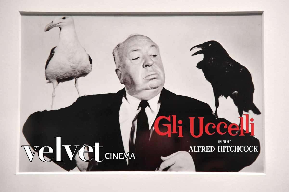 i segreti del film Gli Uccelli di Hitchcock curiosità