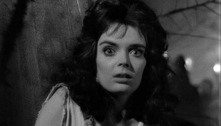 Barbara Steele turbata