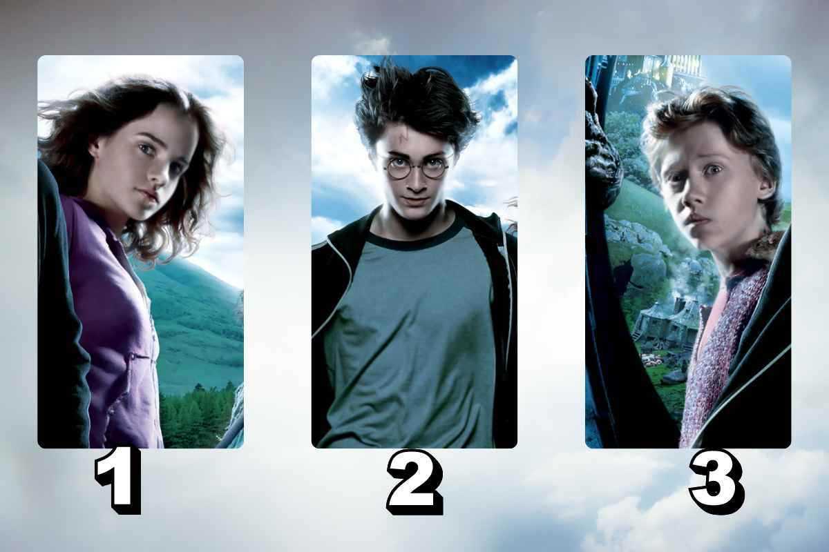 test difetto harry potter