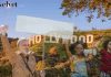 Situazione ad Hollywood per gli scioperi
