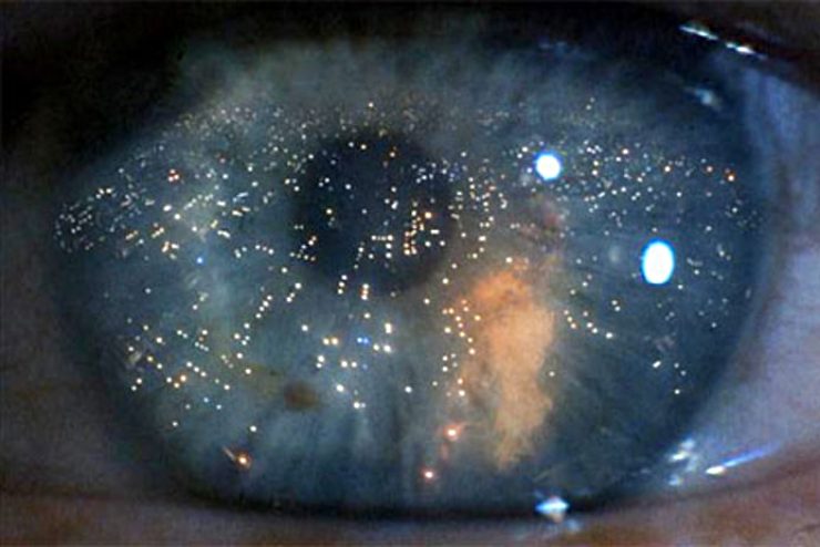 Blade Runner occhio
