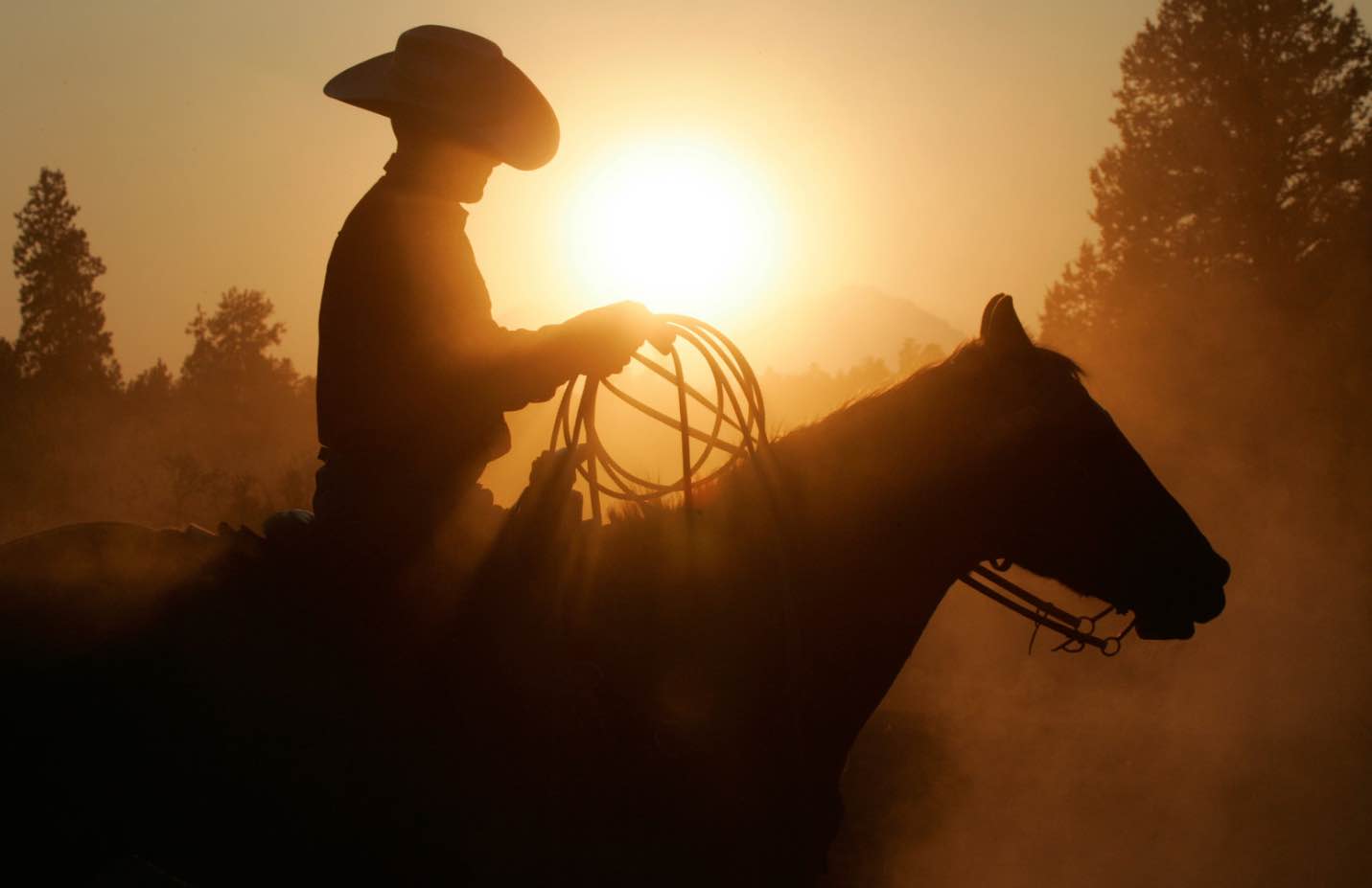 Un canale dedicato interamente al genere western, godititi centinaia di film gratis