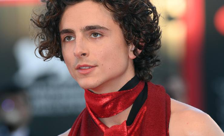 timothée chalamet heat 2